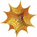 Mathematica