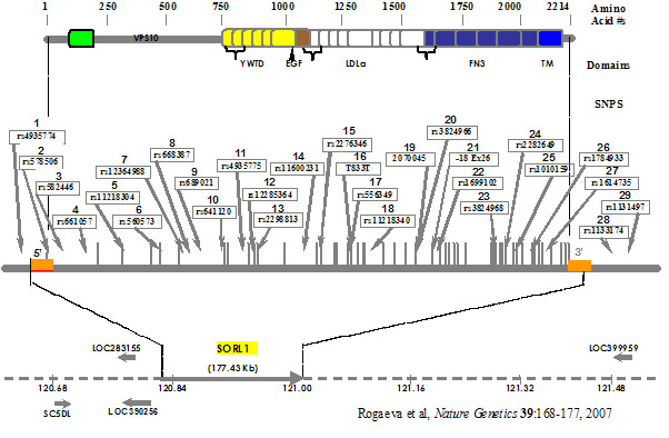 biogenetics