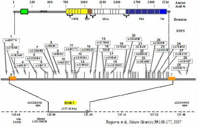 biogenetics