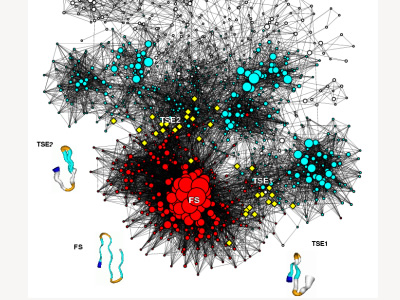 Complex Networks