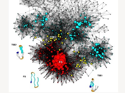 Complex Networks