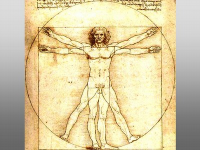 Vitruvian Man - Leonardo Da Vinci