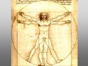 Vitruvian Man - Leonardo Da Vinci