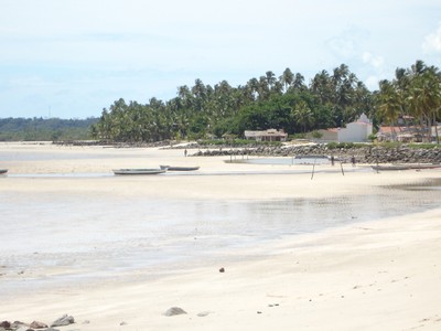 view of the beach 1