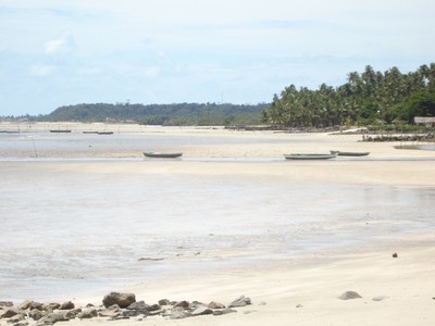 view of the beach 2