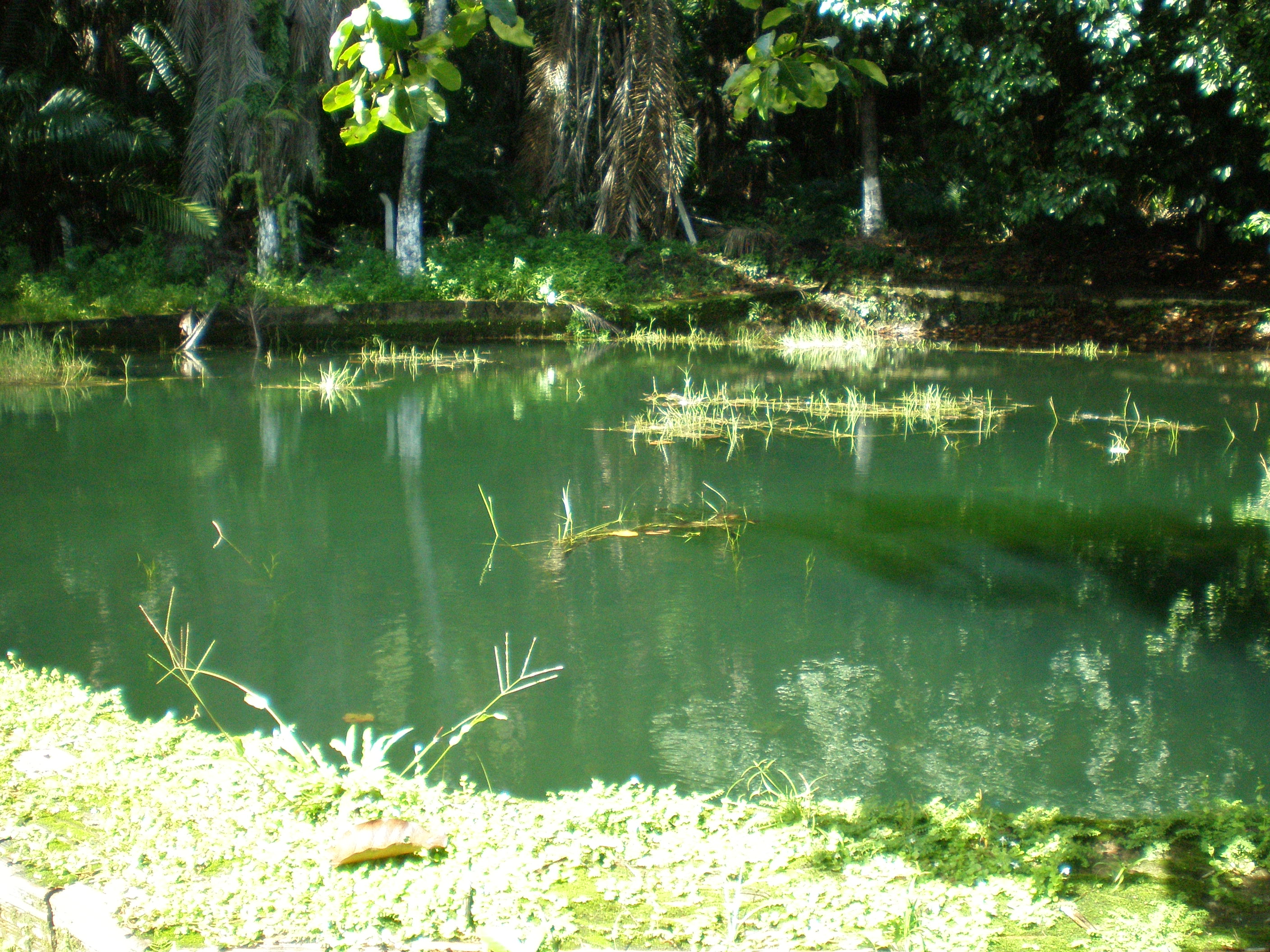 Point 1 - Water Reservoir