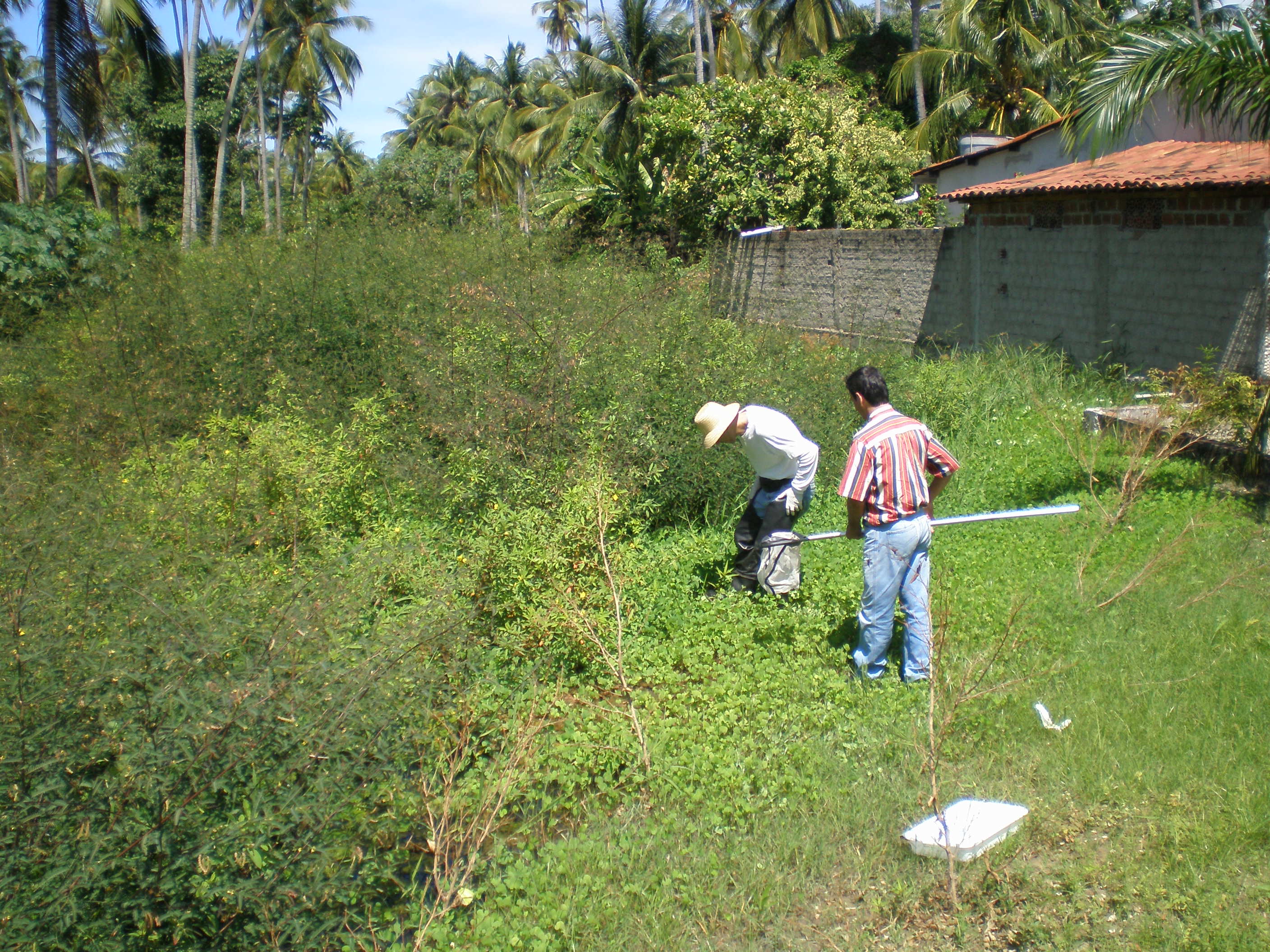 Point 3 - the road of the Health Center