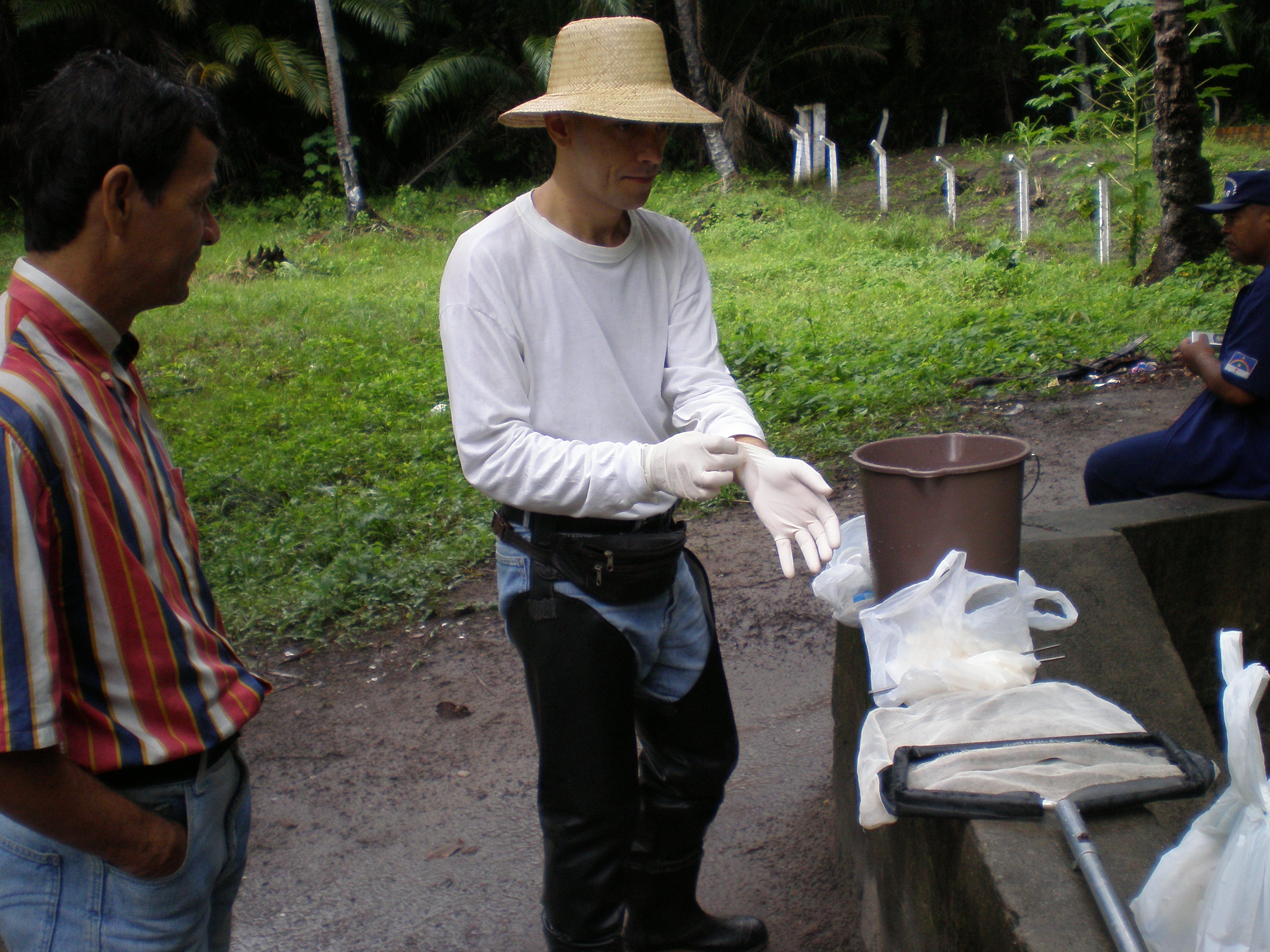 preparation for collection