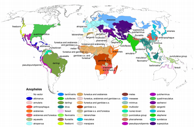 Malaria Map